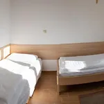 Paxa Dola - Jeka Tisine Mostar
