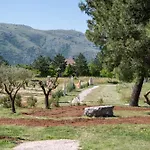 Paxa Dola - Jeka Tisine Mostar