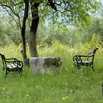 Paxa Dola - Jeka Tisine Mostar