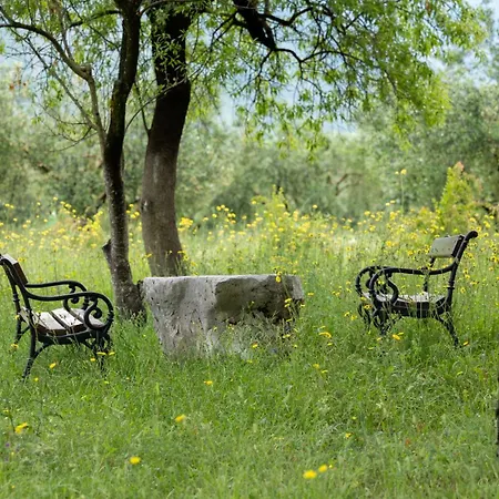 Paxa Dola - Jeka Tisine Mostar