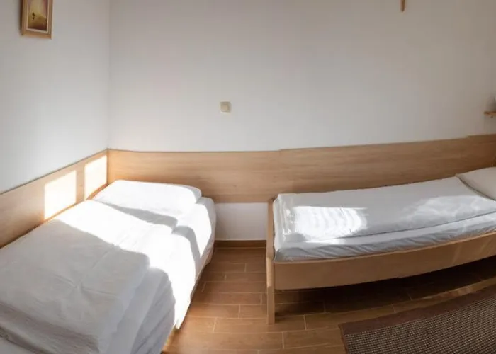 Paxa Dola - Jeka Tisine Mostar