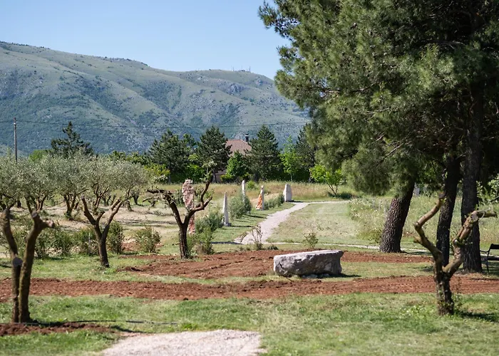 Paxa Dola - Jeka Tisine Mostar