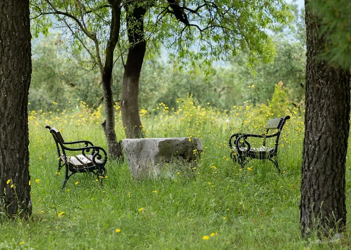 Paxa Dola - Jeka Tisine Mostar